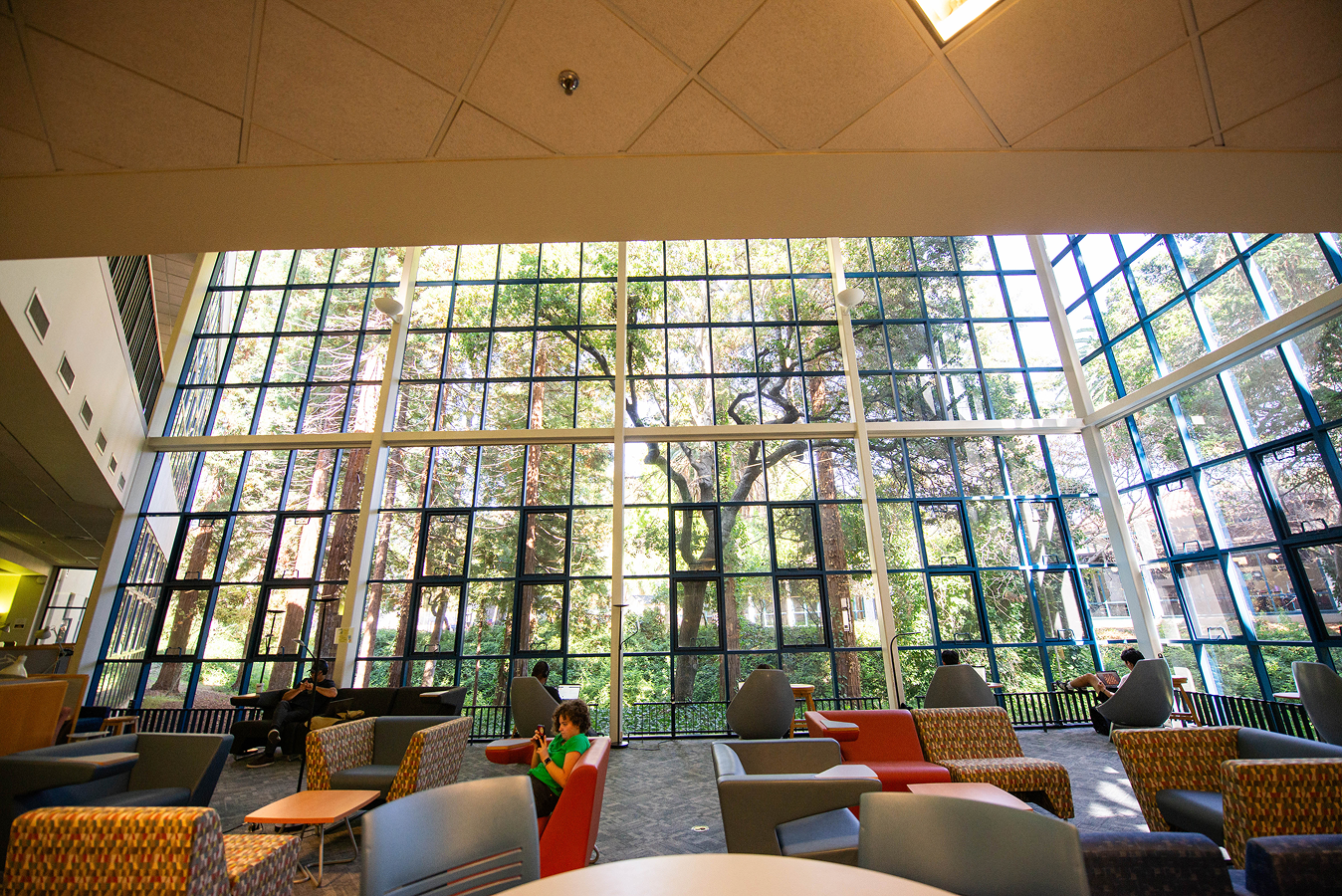 A spacious lounge area in the library with modern chairs and sofas is shown, featuring large floor-to-ceiling windows that reveal tall trees and greenery outside. Natural light fills the room, creating a bright and inviting atmosphere.