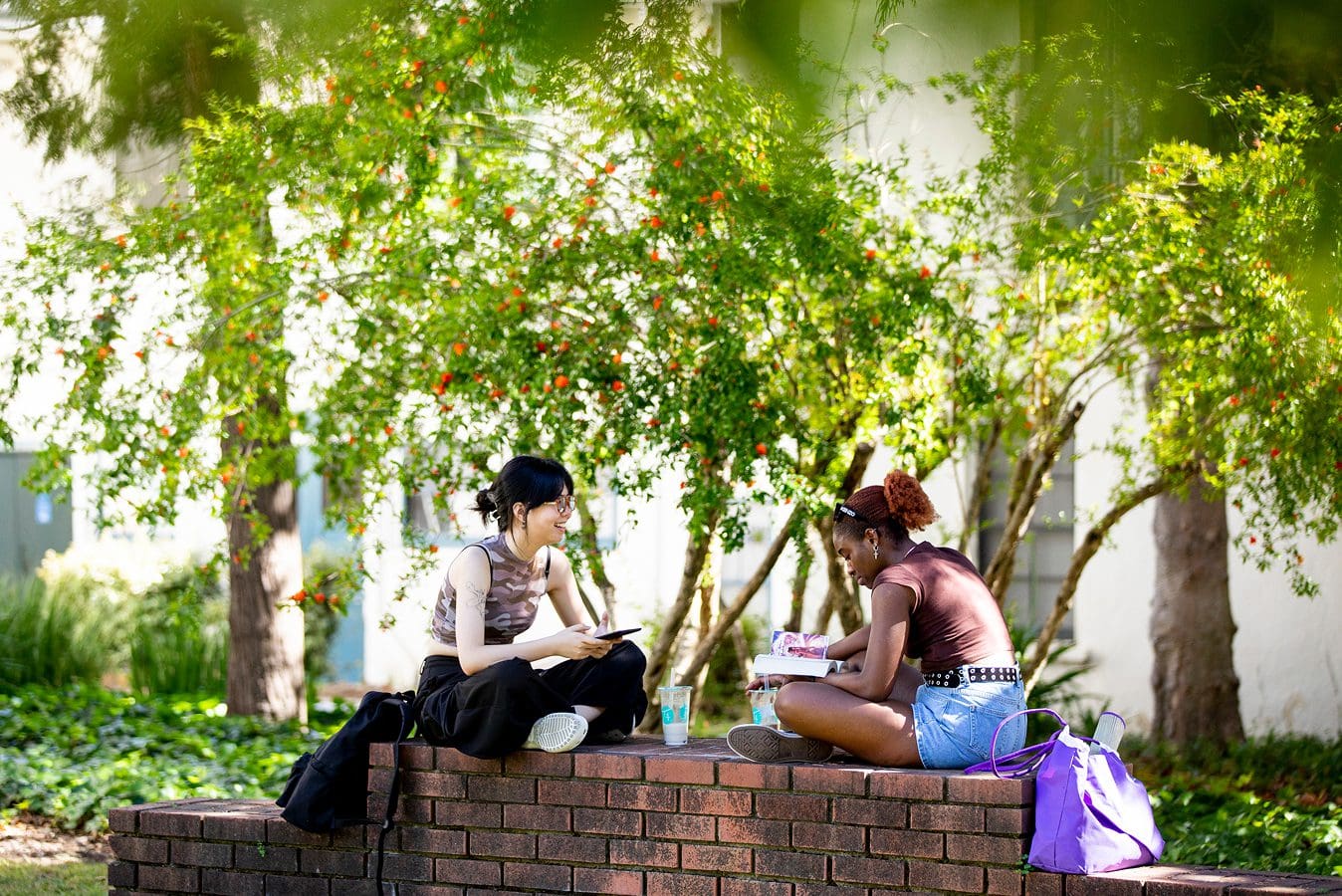 Two students sit on a low brick wall outside, studying and talking, surrounded by green trees and bushes. Backpacks and notebooks are beside them on the wall. The scene is bright and sunny.