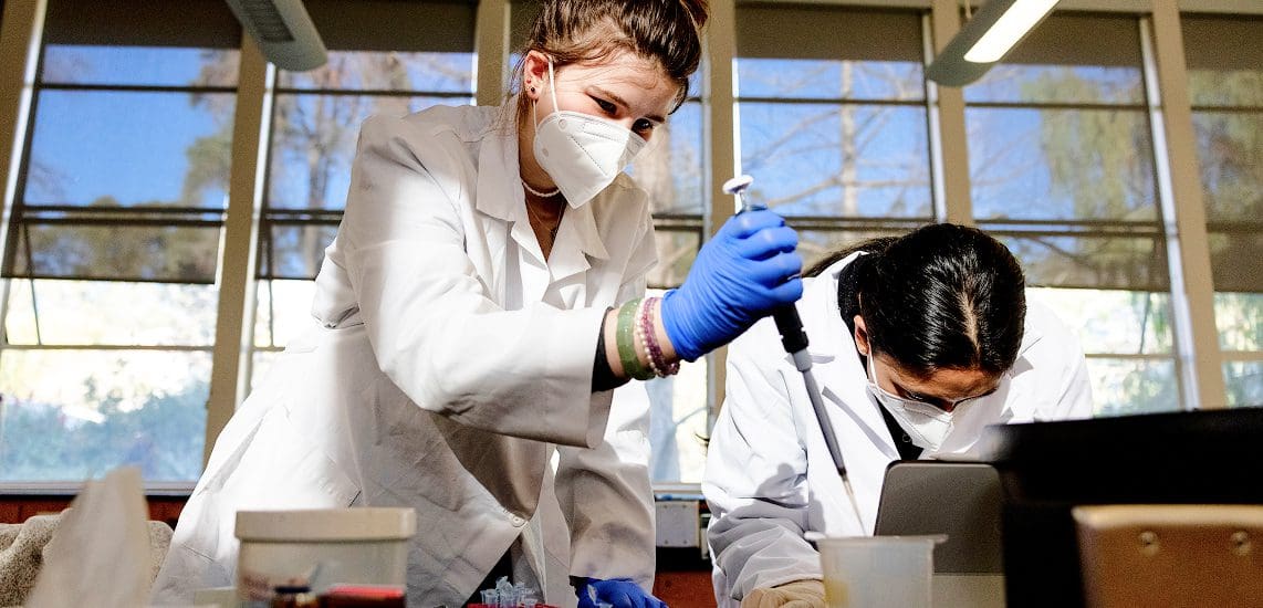 Two scientists wearing lab coats, gloves, and masks work in a laboratory. One is using a pipette while the other focuses on an experiment, with laboratory equipment and large windows in the background.