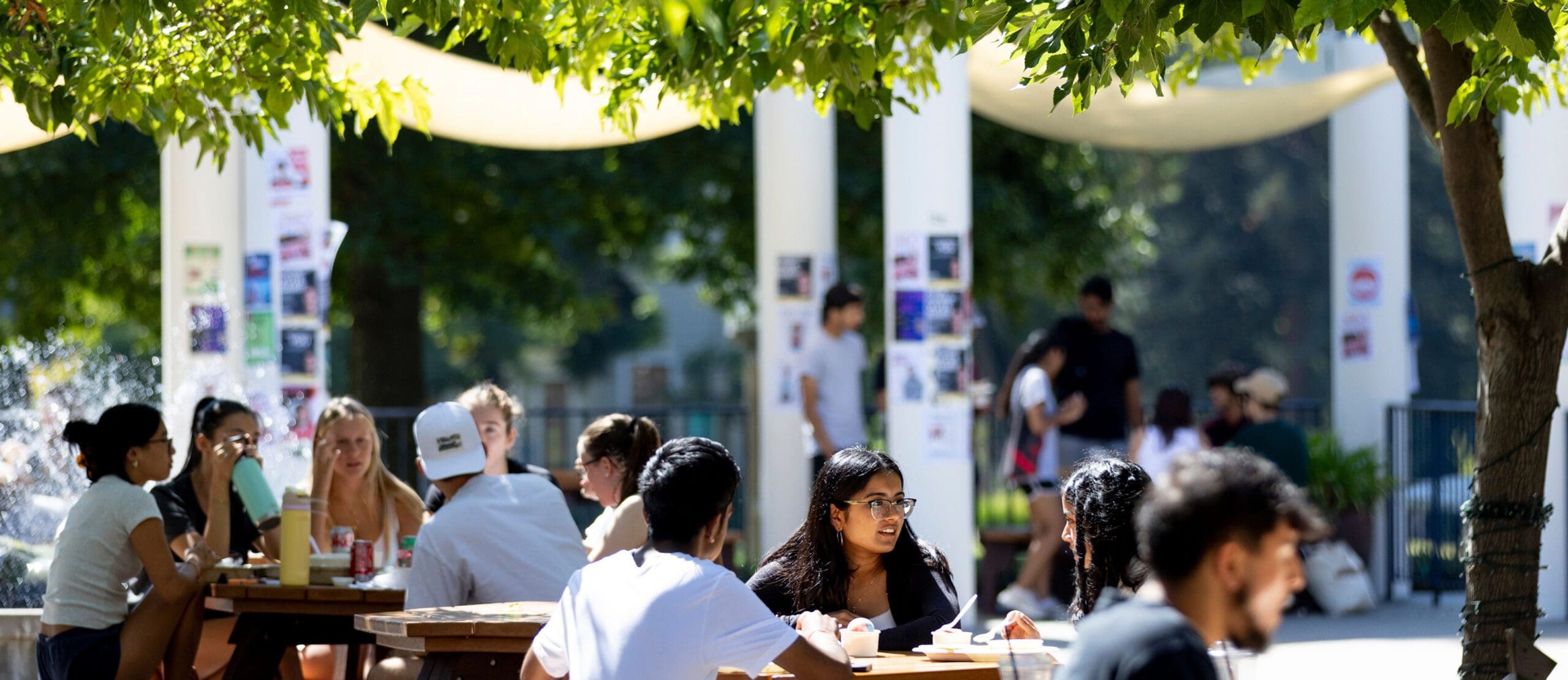 Students sit at wooden picnic tables under trees, talking and studying outdoors on a sunny day. White columns decorated with posters are visible in the background. The scene is lively and filled with greenery.
