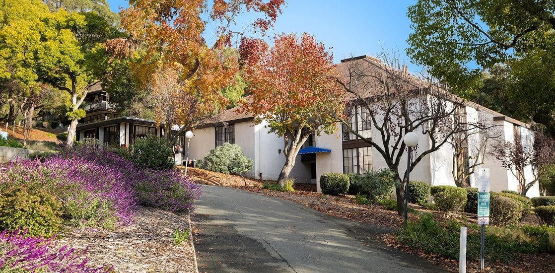 A paved path leads to a white building with tall windows and a blue awning, surrounded by autumn trees and purple flowers under a clear blue sky.