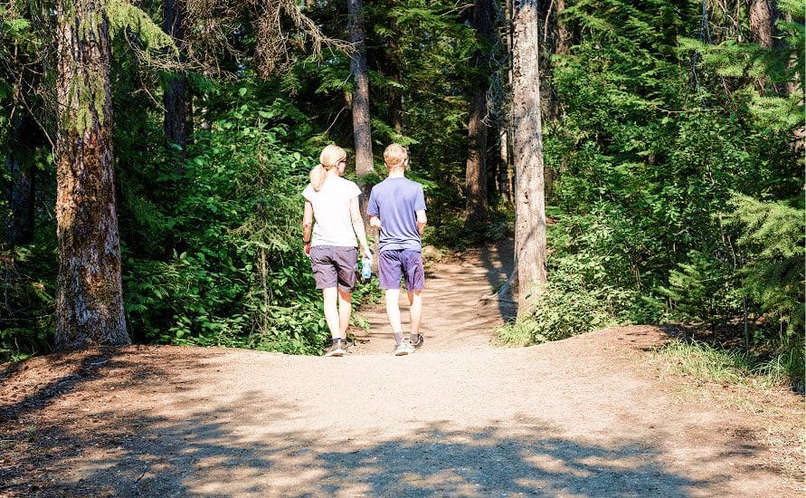 Two people, seen from behind, walk hand in hand on a sunlit dirt path through a forest, surrounded by tall trees and green foliage.