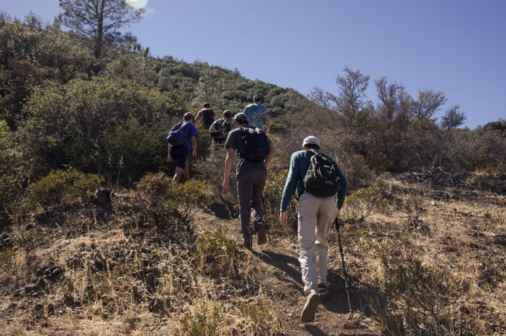 Students from the Oakland Hiking Club at Northeastern hike up Mt. Diablo