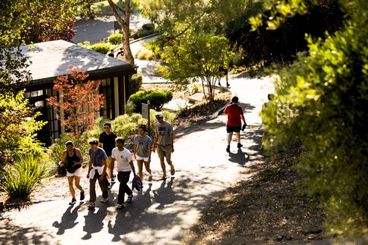 Students walk along the tree-lined path between the Hill Halls on Northeastern's Oakland campus